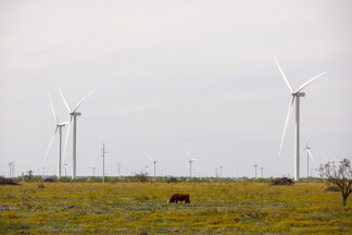Sustainability