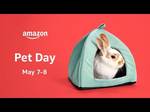 An image of the Amazon Pet Day date announcement with text that reads "Pet Day May 7-8" and an image of a rabbit.