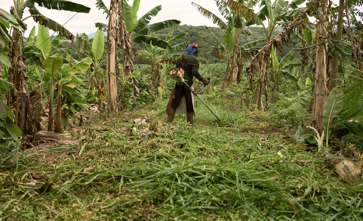 How Amazon approaches carbon credits, a key tool in the fight against climate change