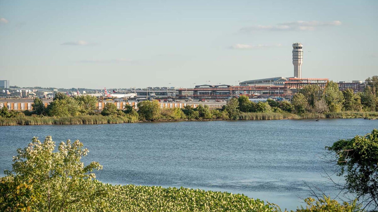 A scene from Arlington, VA 