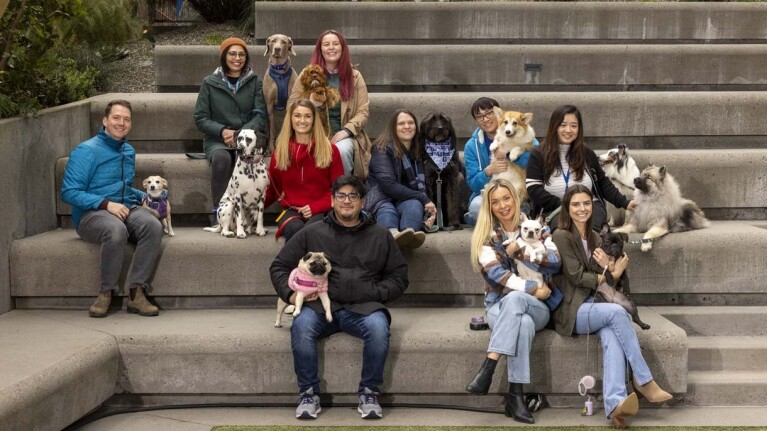 An image of dogs in the office at Amazon's Seattle headquarters with employees.