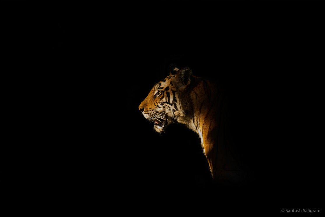 PLay of light 3