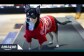 Lights, Camera… Sit? Santa Poses With the Pets of Amazon