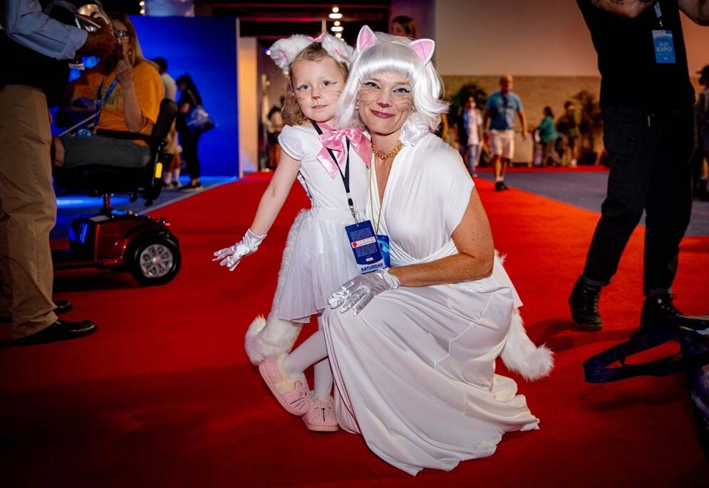 An image from the D23 fan expo show floor