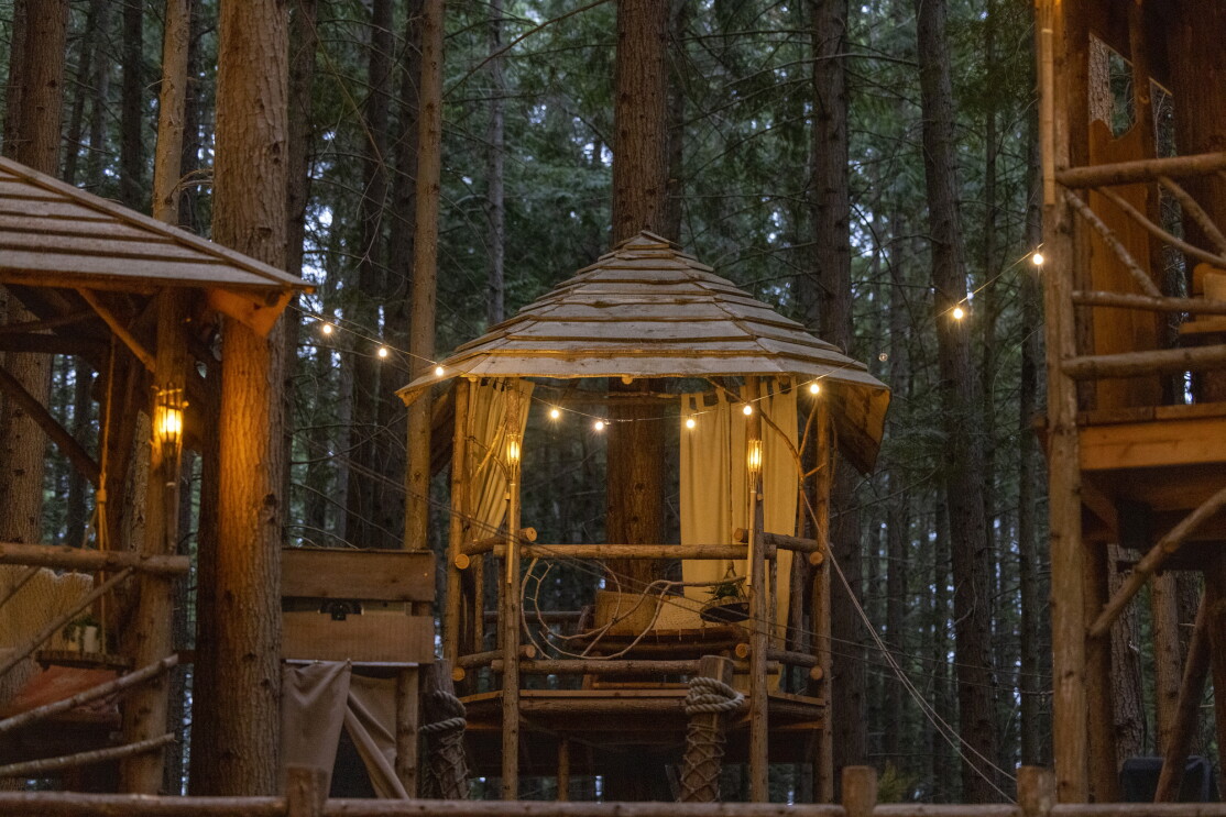 Wooden structures in a forest.