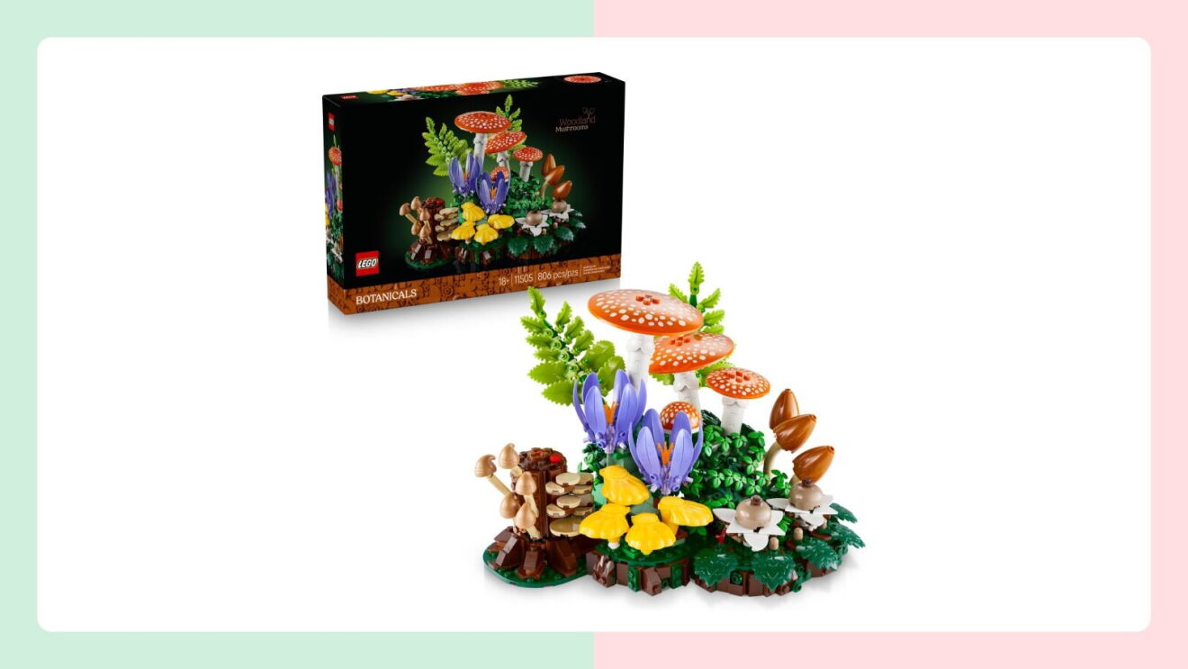 LEGO mushroom figures arranged in a colorful display
