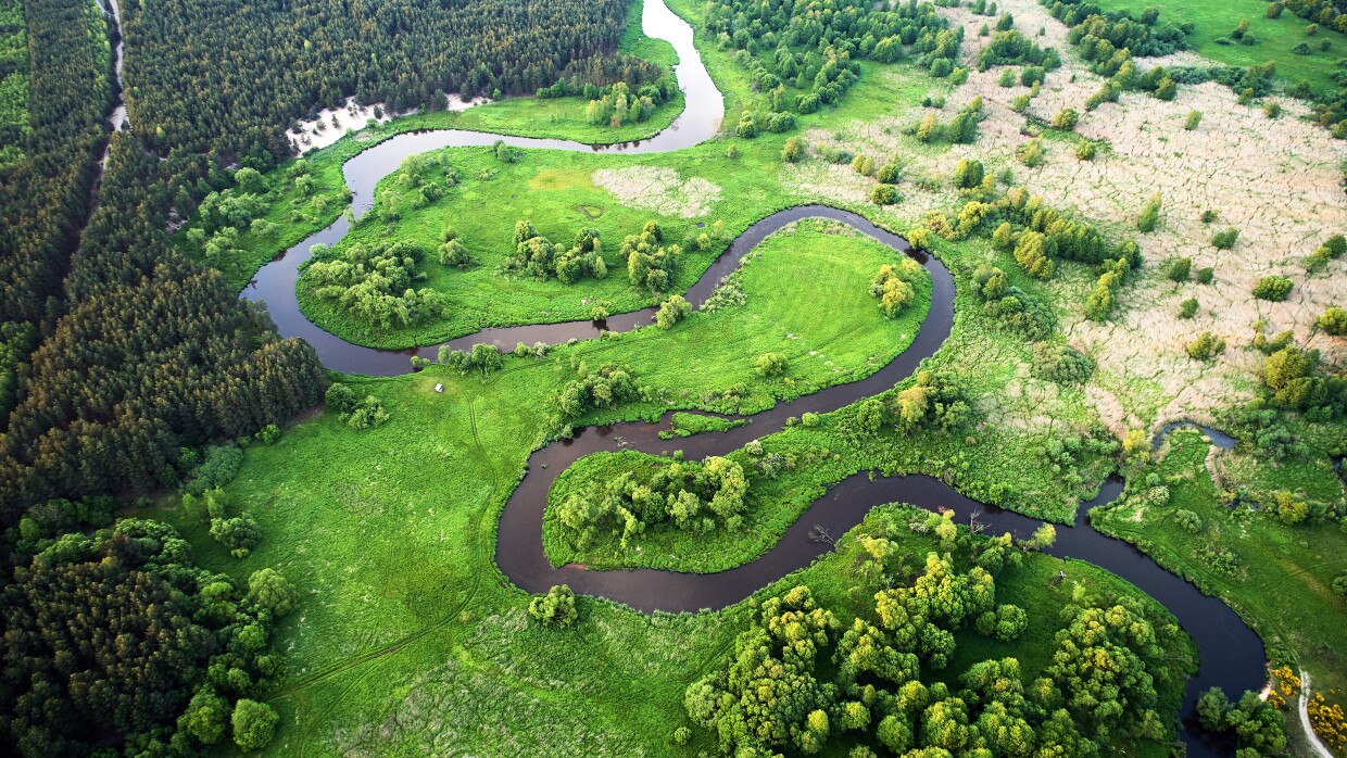 Aerial landscape of a wild river in summer