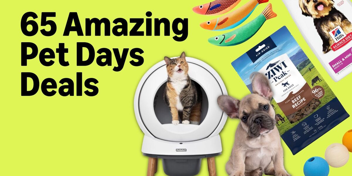 Amazon Pet Days 2026: 65 top deals on pet food, toys, grooming, and health supplies to shop now