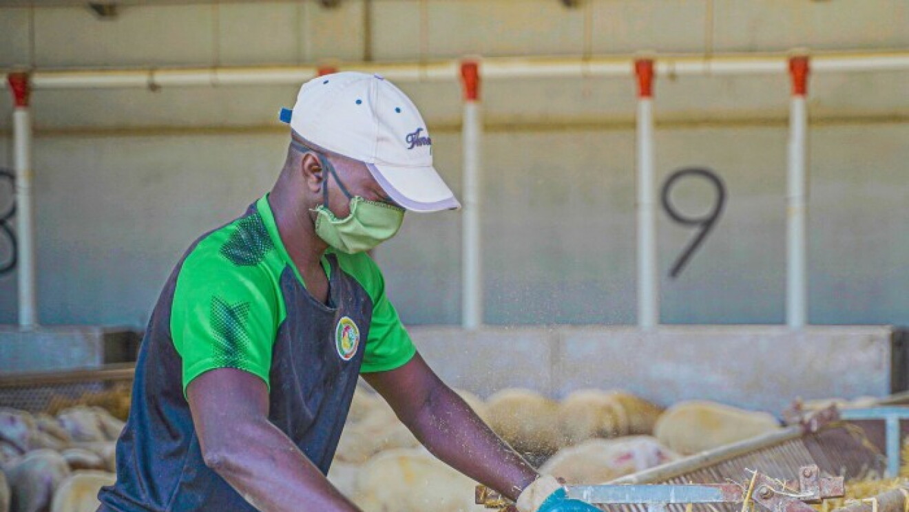 farm-ES.jfif-supporting-small-businesses