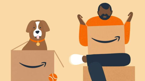 Recycle Boxes from Amazon 