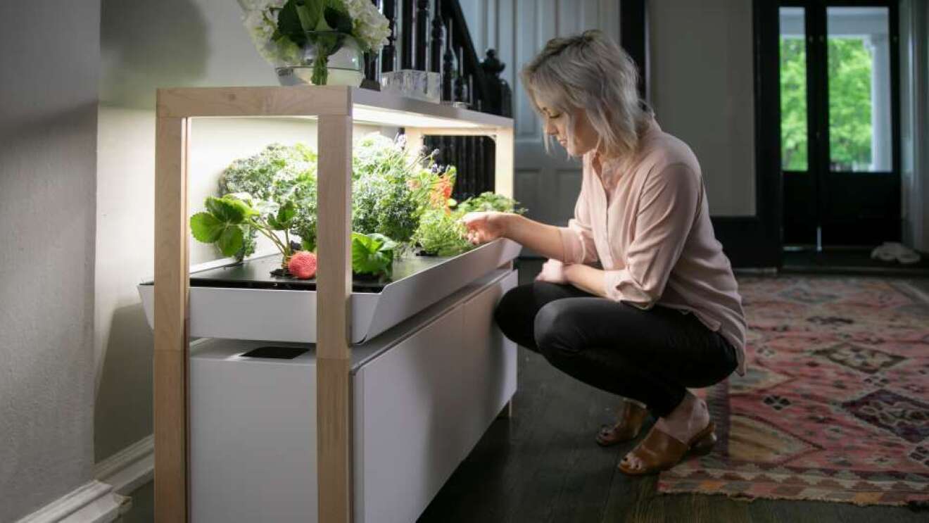 A woman crouches beside her Rise garden and tends to her plants.