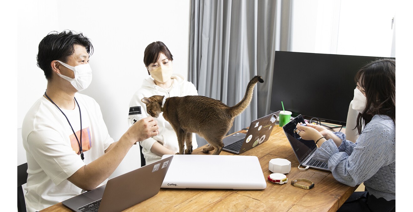 打ち合わせ中のテーブルにブリ丸がいる写真