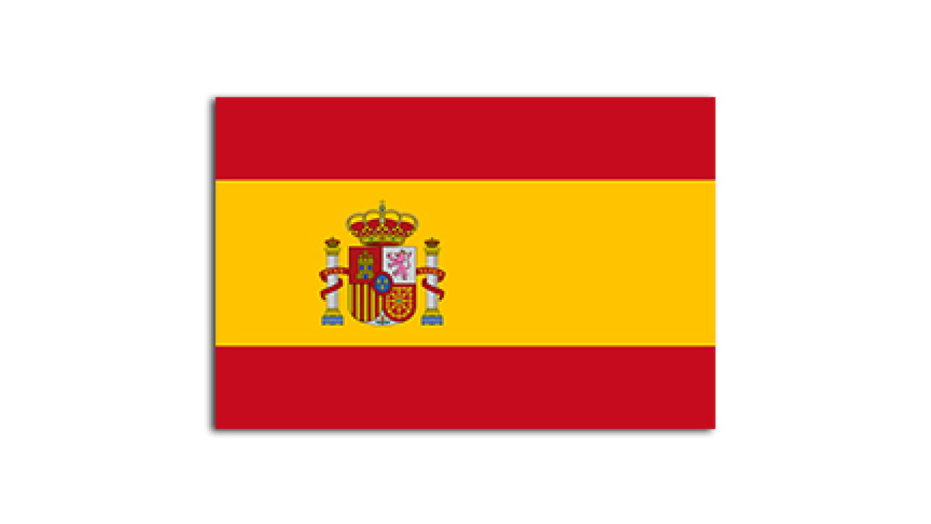 Flat flag of Spain on a white background