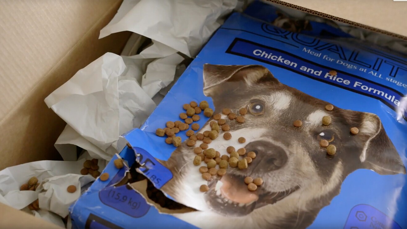 Kibble scattered on a ripped bag of dog food.