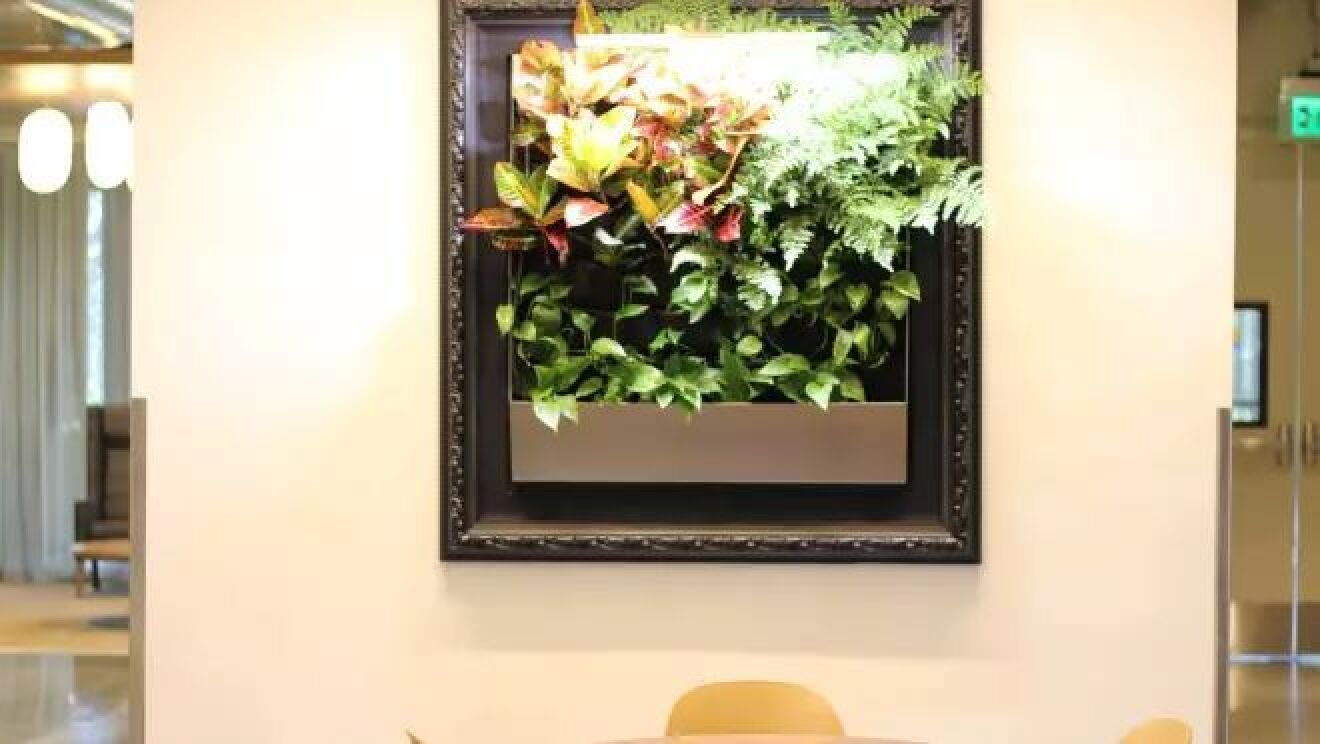 壁に掛けられたフレームから植物が生えている。リビングアート