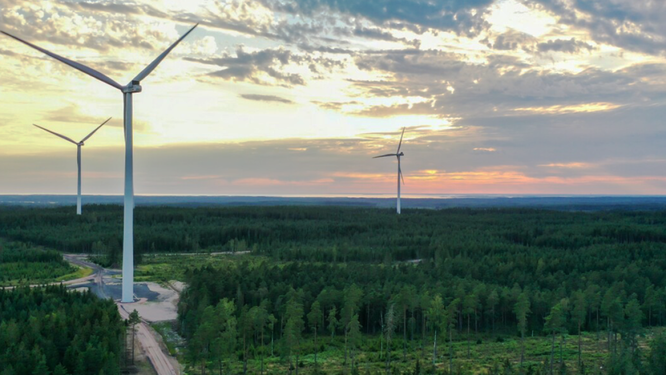 Amazon dąży do osiągnięcia neutralności klimatycznej. 
W jaki sposób chce osiągnąć swój cel?