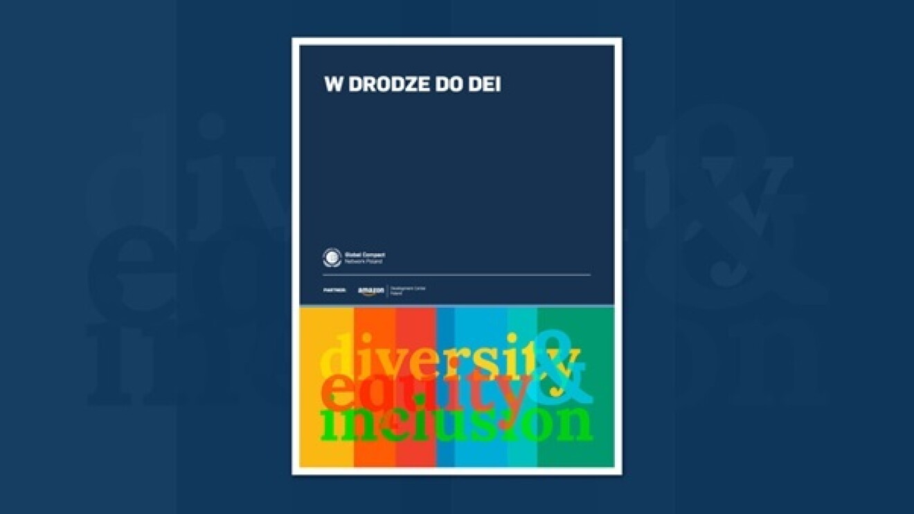 RAPORT DEI_OKŁADKA.jpg