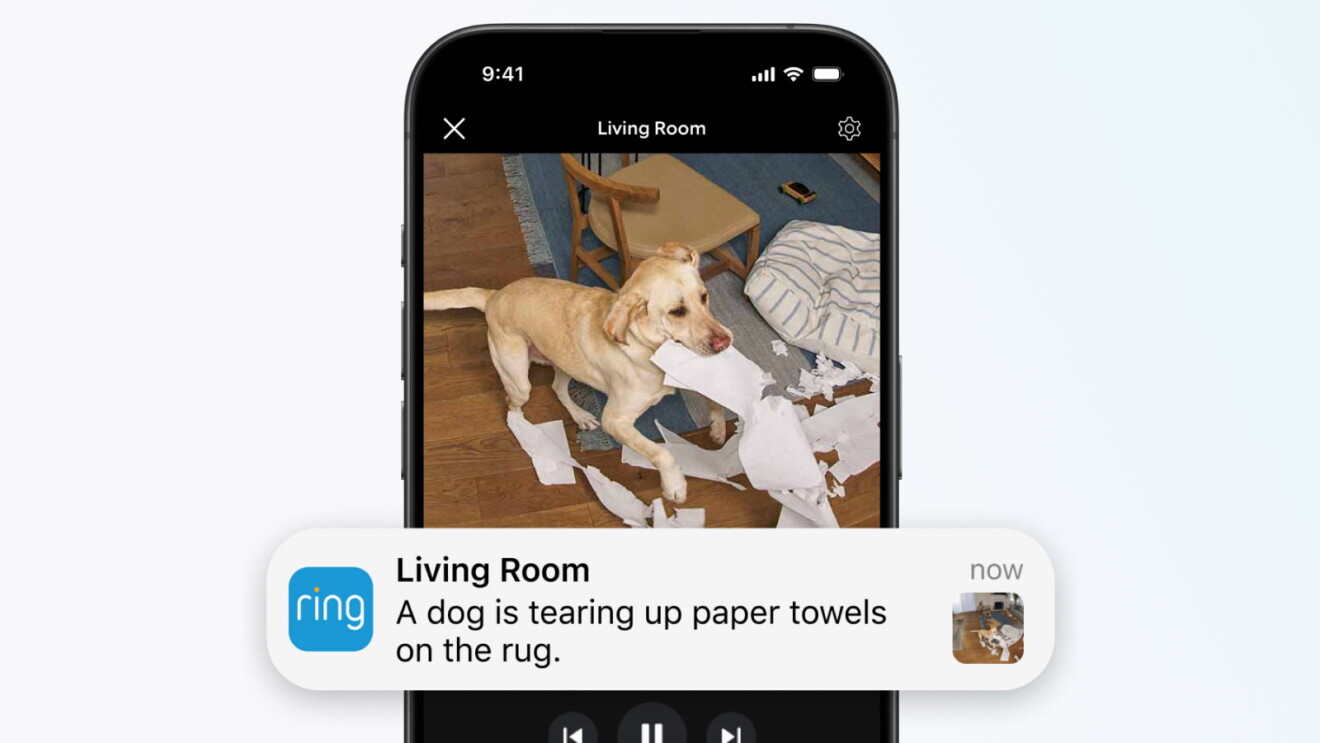 Ring Video doorbell footage on a mobile device, showing a dog tearing up loo roll
