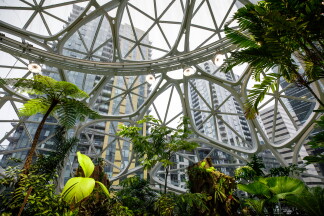 Seattle Headquarters Sphere