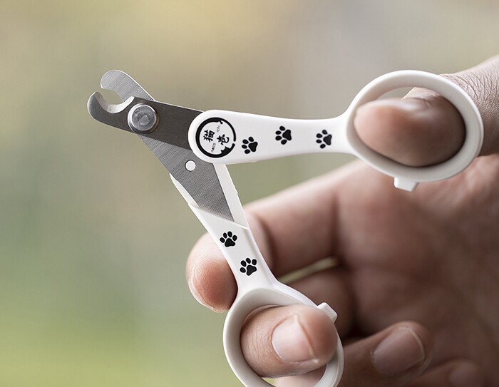 デジタルが切り拓く中小企業の未来 Vol.2
なぜ、彼らは海外進出で成功を収めたのか？