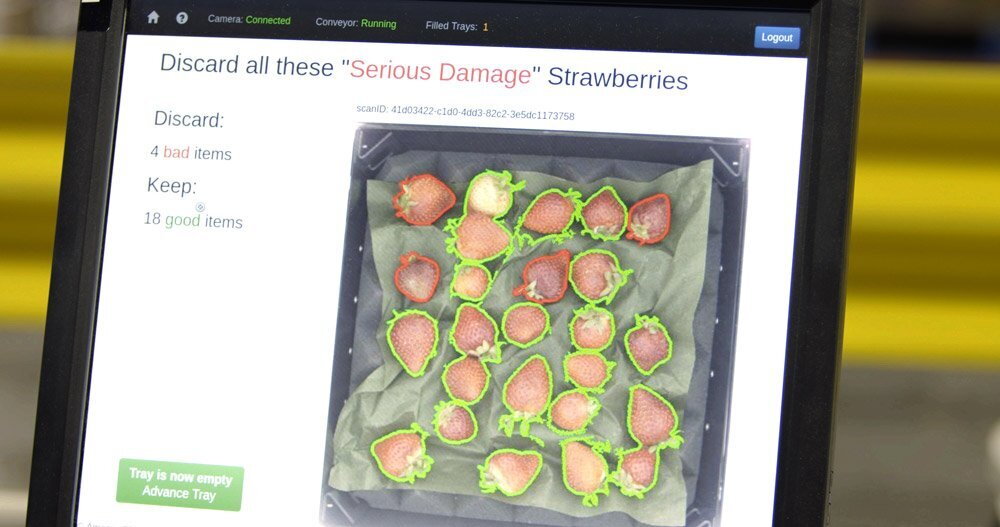 Wie Algorithmen Obst sortieren