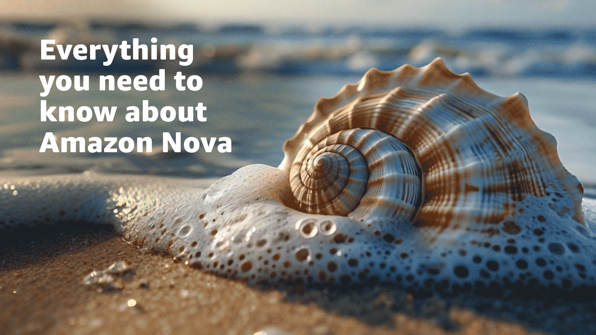 Everything you need to know about Amazon Nova