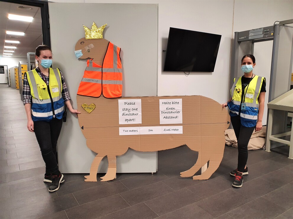 Ein Dino aus Pappe