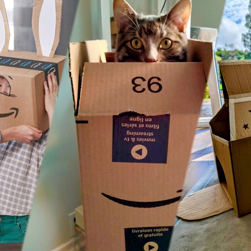 Eine Collage, sie zeigt: ein Kind mit einer Amazon Karton-Maske mit Hasenohren, ein Kätzchen, das aus einem Amazon Karton schaut und eine aus einem Amazon Karton bebastelte Burg.