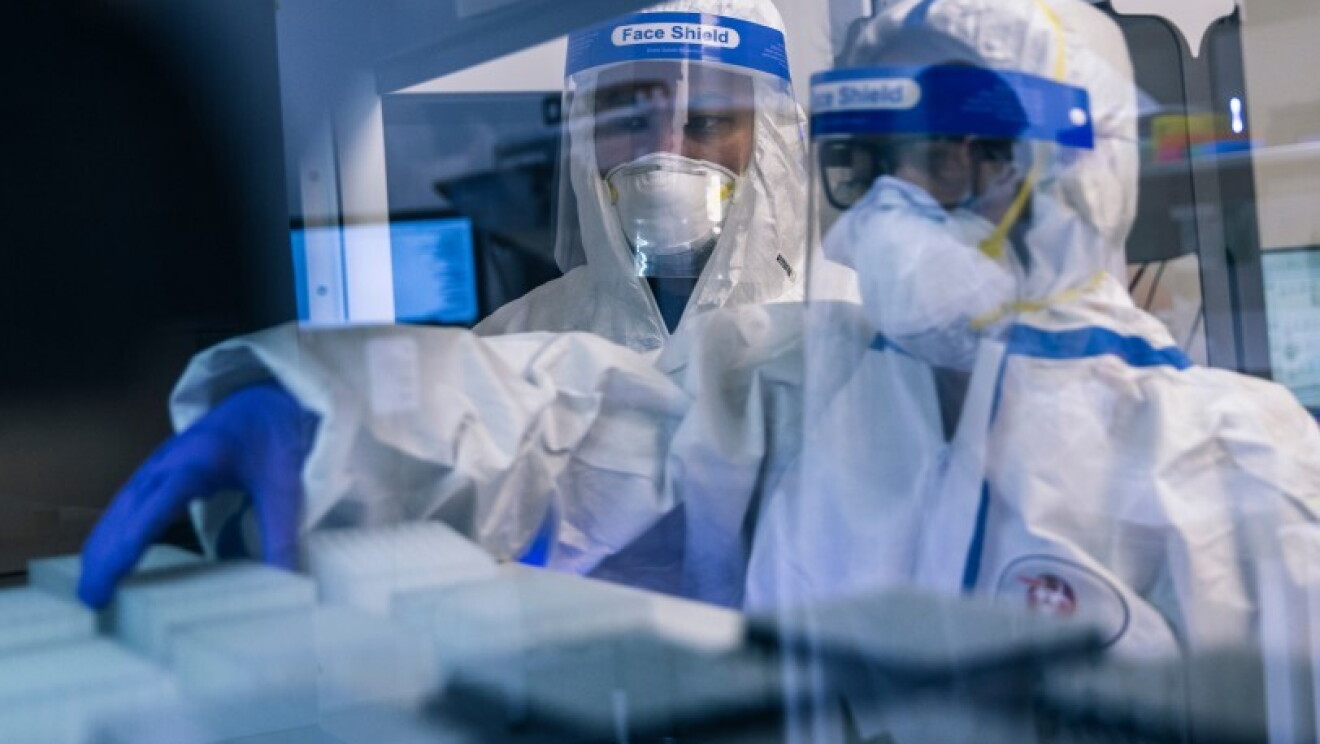 Two people in PPE look at lab samples.