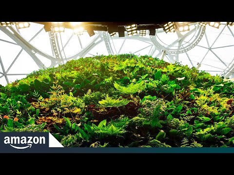 Amazon Spheres' living wall