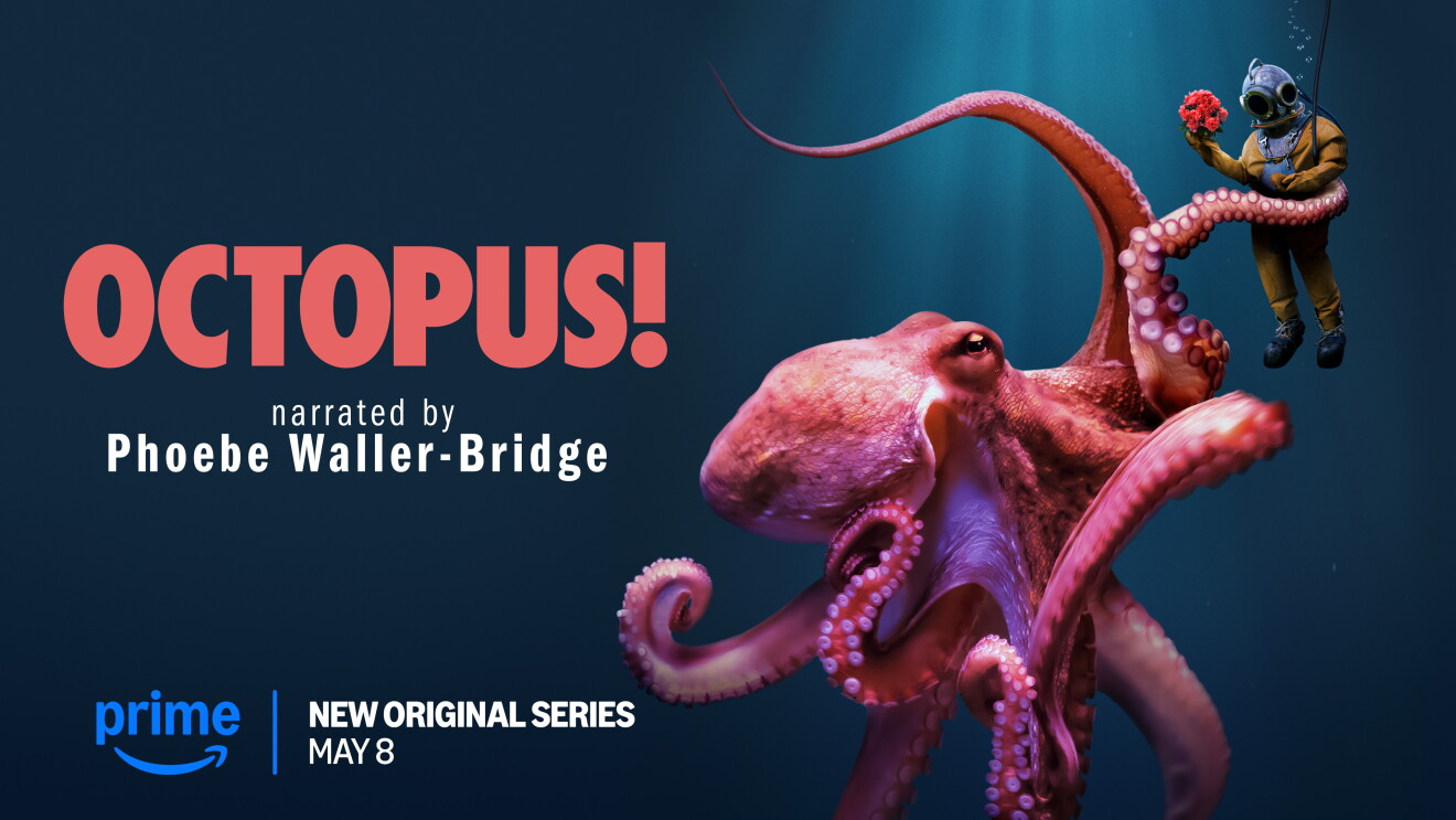 Octopus!