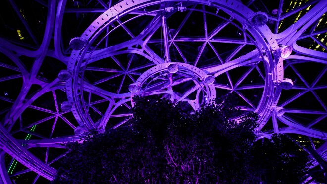 紫色的特奥会的球体