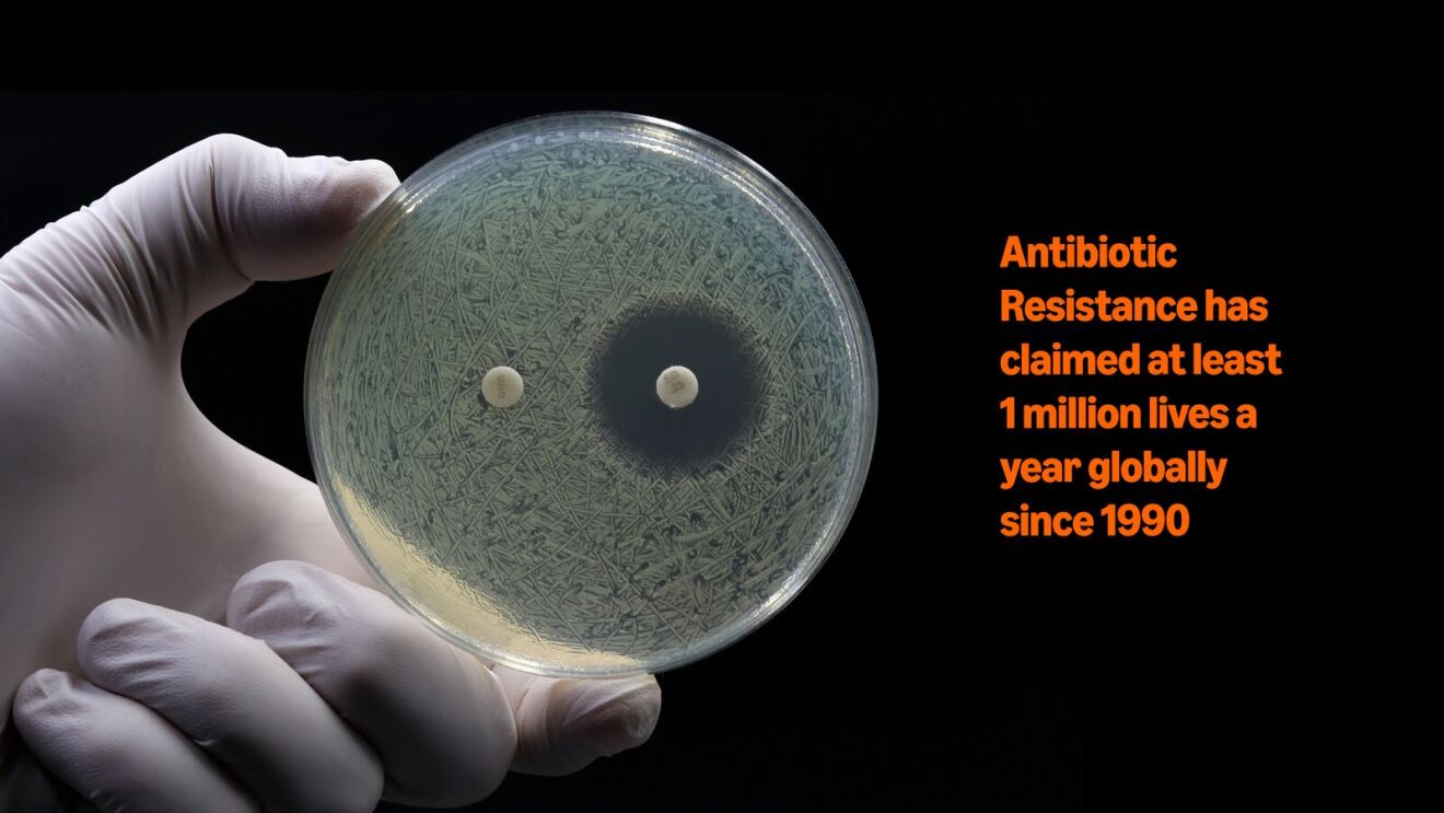 Petri dish showing antibiotic resistance, with stark warning about global mortality