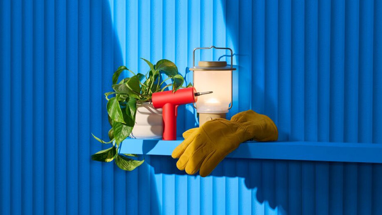 Tools and plant on blue shelf against vibrant blue background