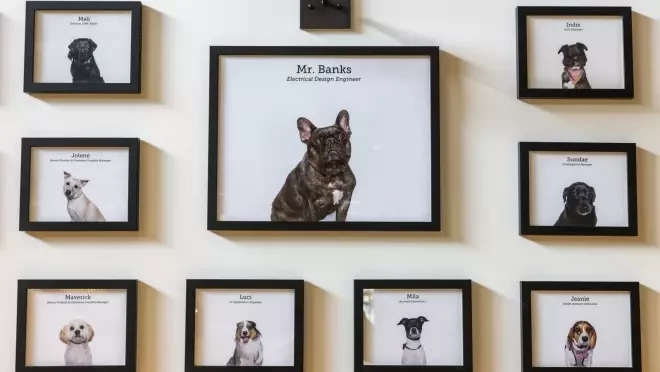 複数の犬の写真と名前が額装され、壁に掛けられている。