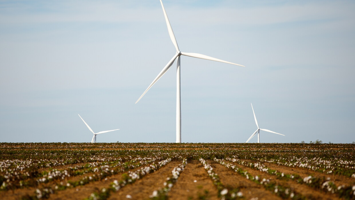 Amazon Wind Farm Texas. Parque eólico en Texas (EE.UU.). En la foto, dos tercera partes es cielo y una tercera parte es suelo. El cielo es de color azul, sin nubes, el suelo es de color marrón y cultivado con plantas de color verde. Hay tres molinos de viento con tres asas cada uno.