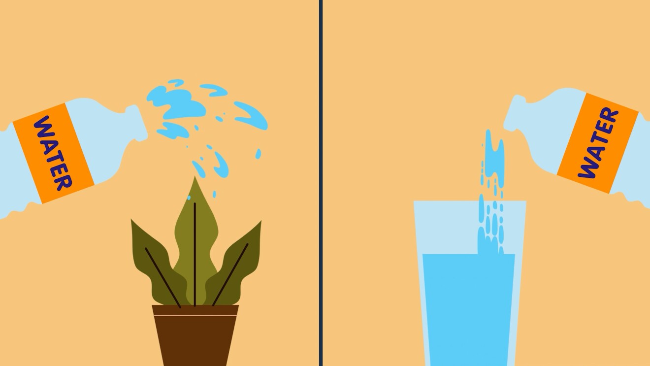 Animated picture of water being poured on a plant and in a glass