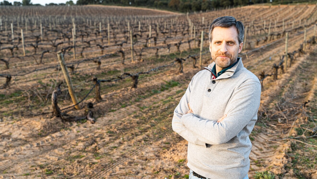 Fernando Rodríguez, CEO de Pradorey. En un viñedo en septiembre, cuando la viña está preparándose. Fernando está  en primer plano, cruzado de brazos, con unos jeans, un polo verde y una sudadera gris clara. Tiene los ojos verdes, pelo blnaco y subio corto y barba de dos días.