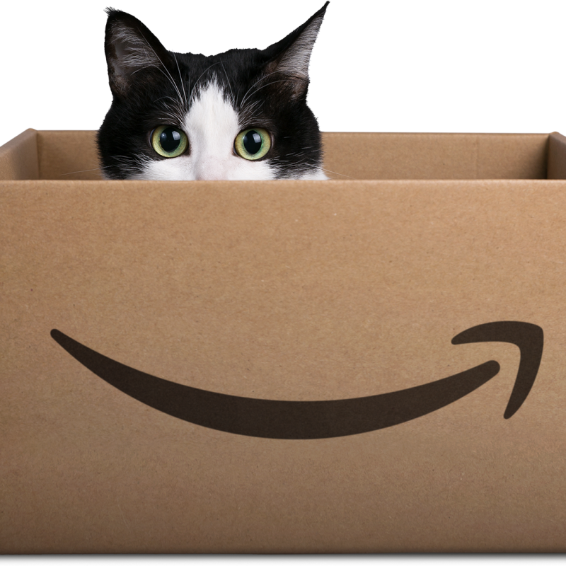 Eine schwarz-weiß gefleckte Katze sitzend in einem Karton, der mit dem Amazon Logo gebranded ist.