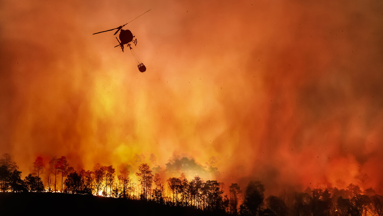 A photo of a helicopter carrying a bucket of water above a wildfire.