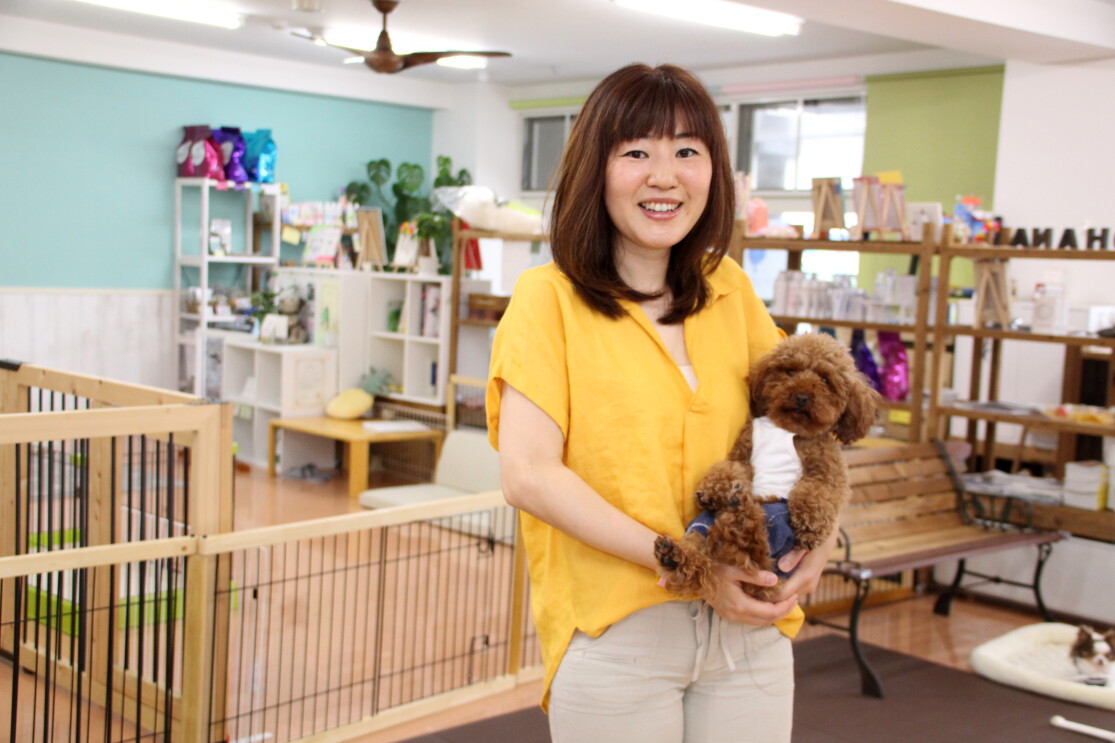 保護施設で暮らす犬猫を「ほしい物リスト」で支援