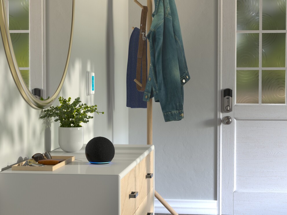 The Amazon Echo Dot on a counter next to a plant and a tray containing sunglasses, a wallet and keys. 