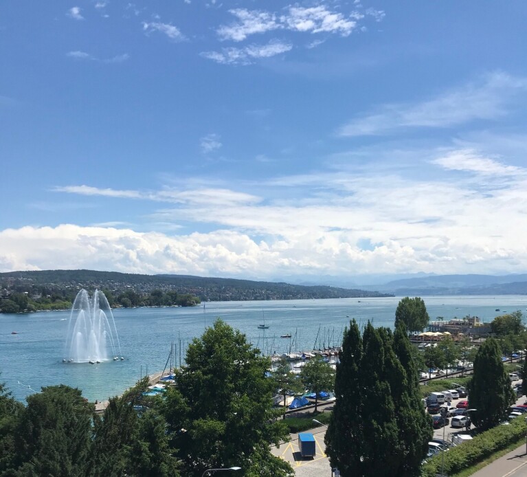 Zurich view from office