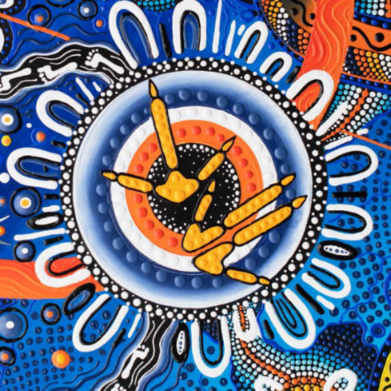 Amazon Australia commissioned Kalkadoon woman and Aboriginal artist Chern’ee Sutton