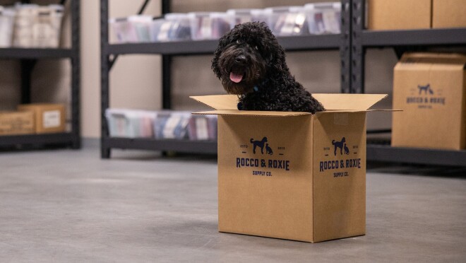 一只中等大小的黑色嘟嘟狗坐在罗可和罗克西盒子里微笑。