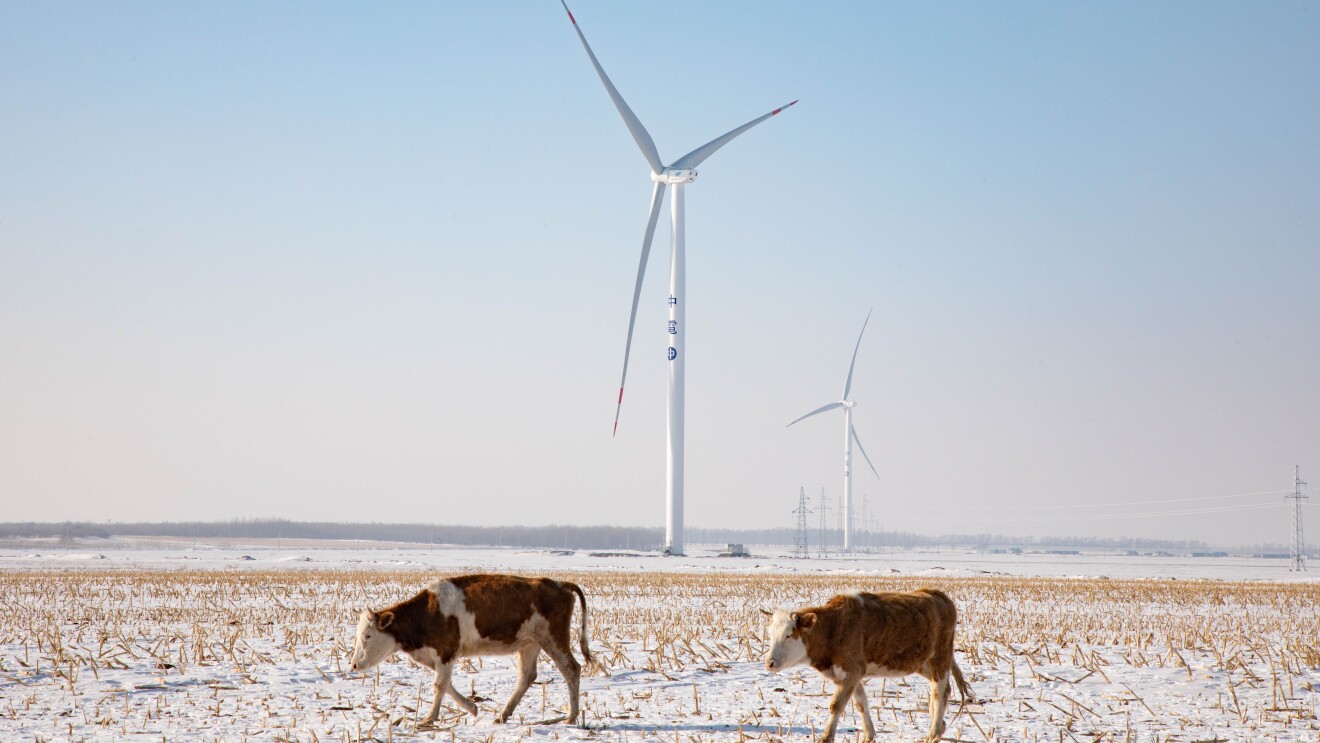 在中国一个风电场的形象