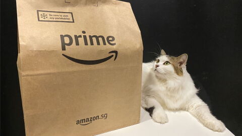 A cat with a brown Prime paper bag from Amazon.sg.