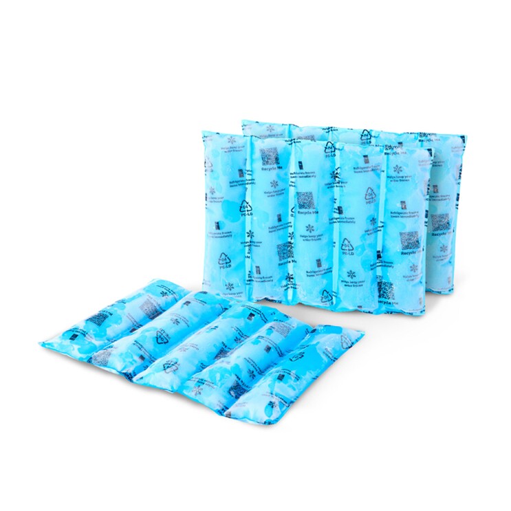 Three Amazon Grocery Frozen Coolant Ice Packs