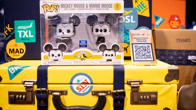 An image showing the Disney gift mentioned below.