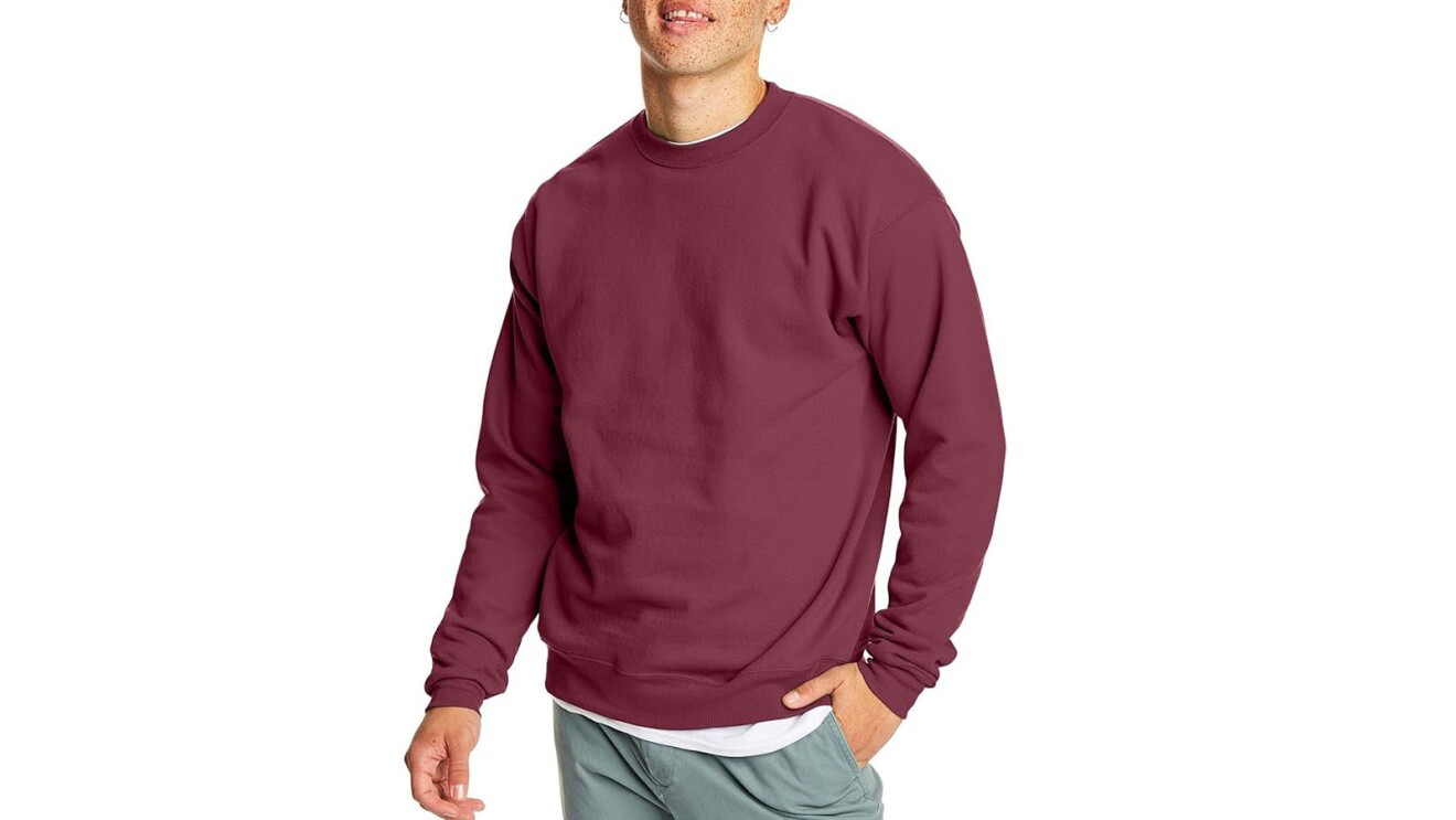 An image of Hanes Men's Ecosmart Fleece Sweatshirt.